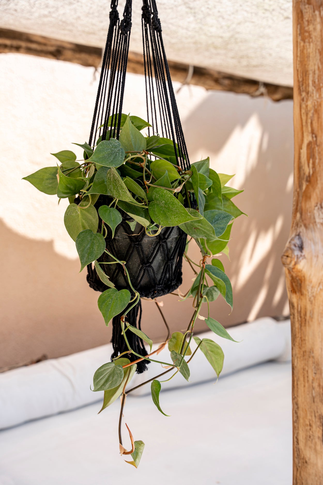 Bazar Bizar De Macrame Planthanger - Zwart - L