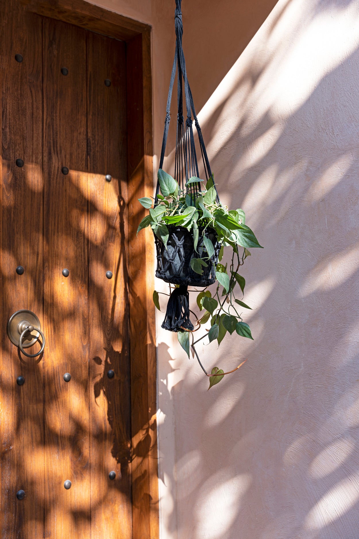 Bazar Bizar De Macrame Planthanger - Zwart - L