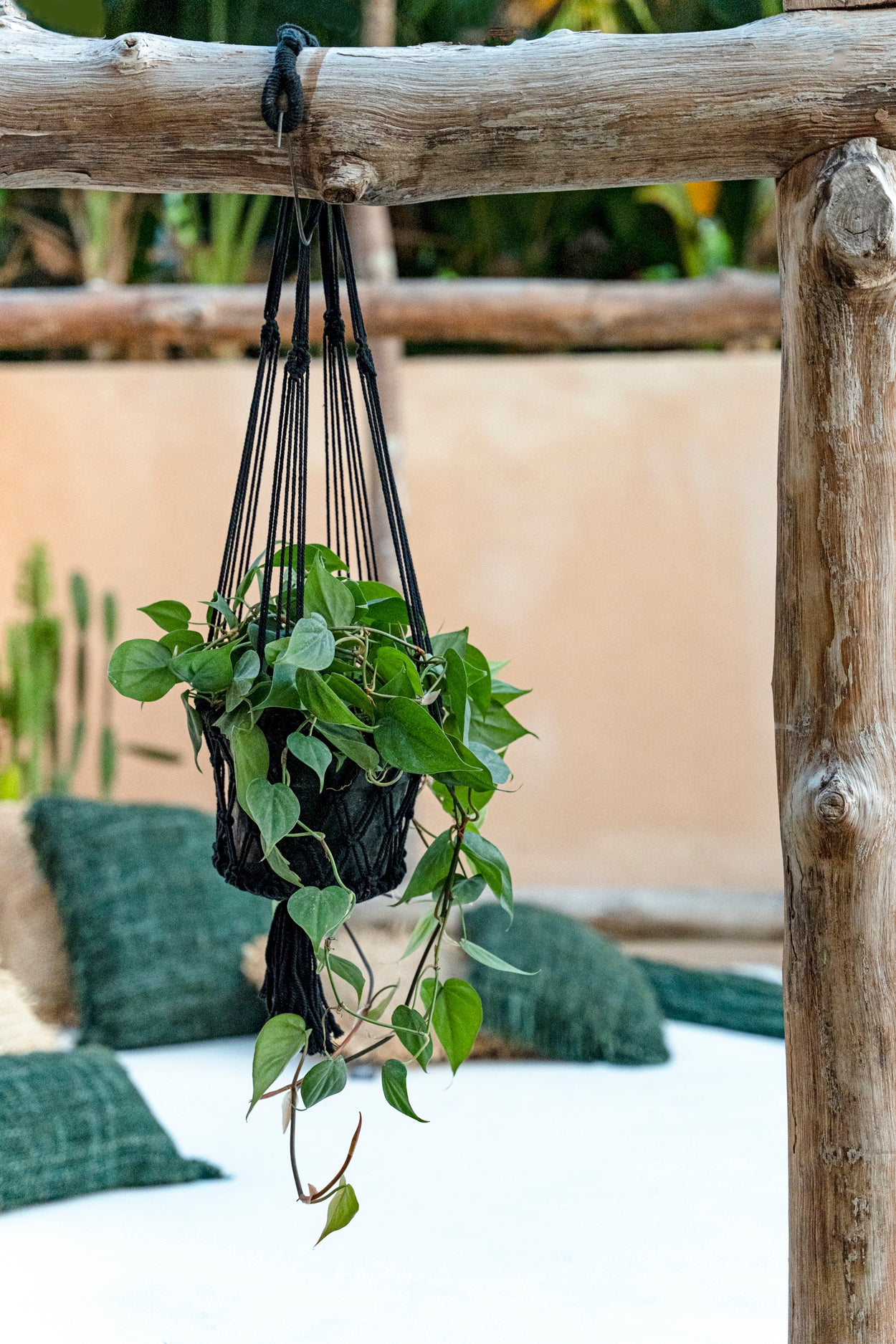 Bazar Bizar De Macrame Planthanger - Zwart - S