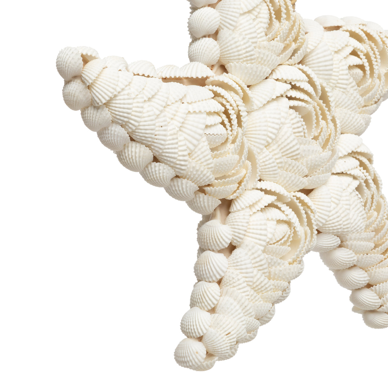 Bazar Bizar De Ster Shell - Wit - L