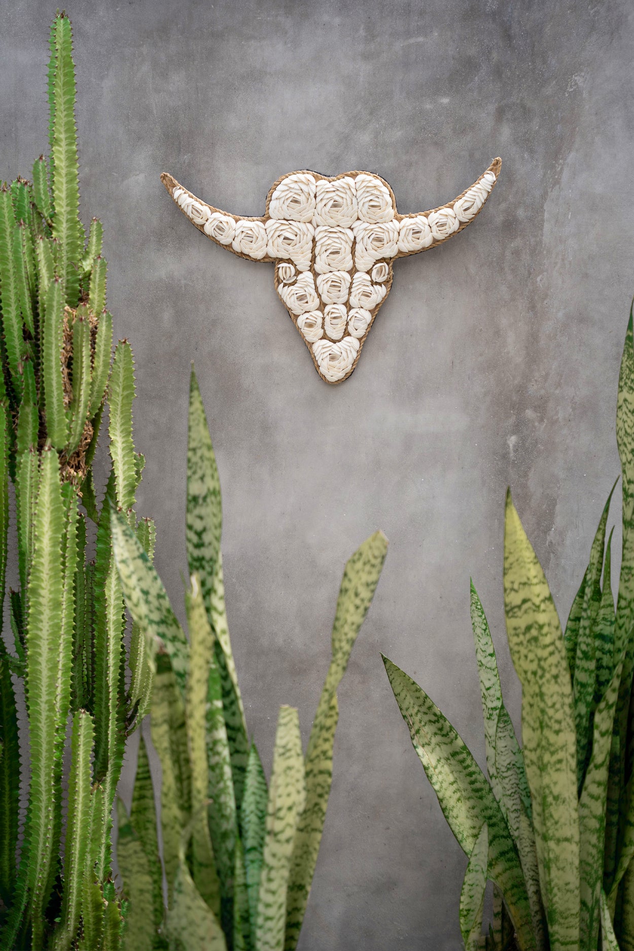 Bazar Bizar - De Bull Shell - Wit