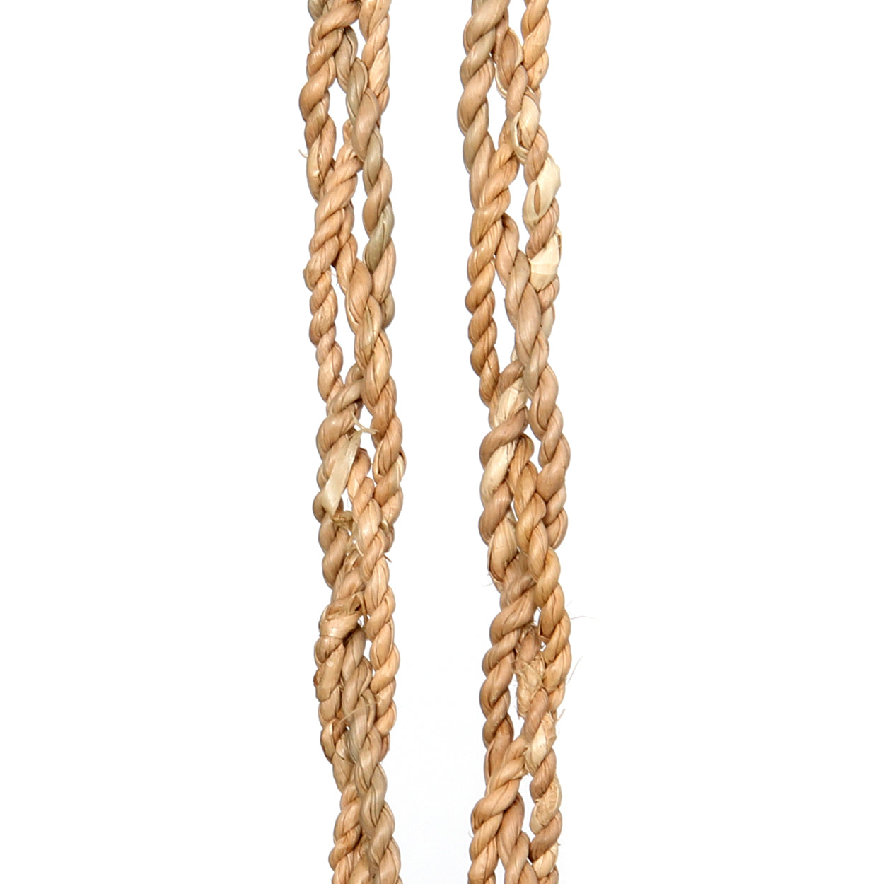 Bazar Bizar De Vanilla Shell Hangdecoratie