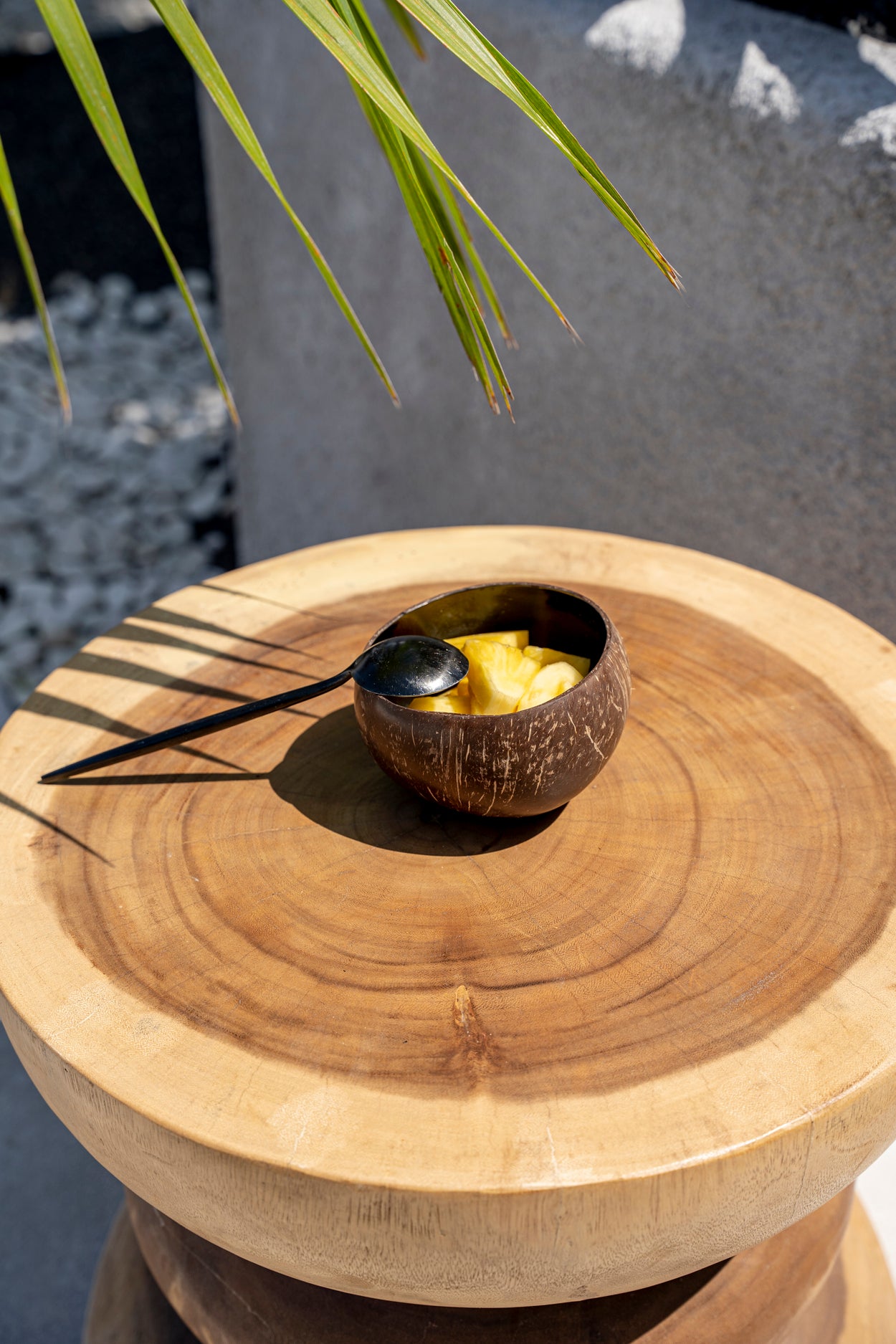 Bazar Bizar De Coco Food Kom - Naturel Zwart