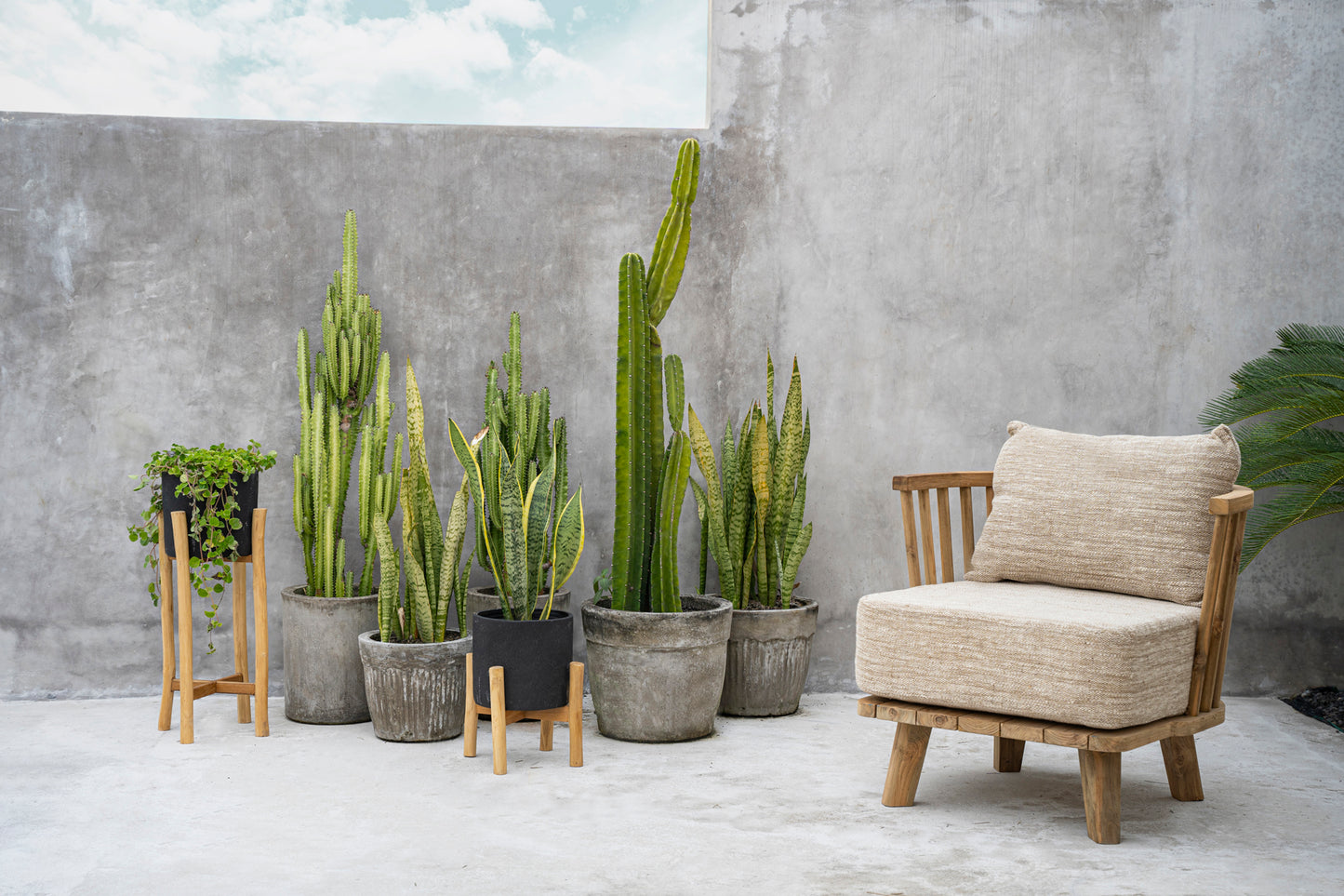 Bazar Bizar De Charcoal Hoge Plantenbak - Zwart Natural - L