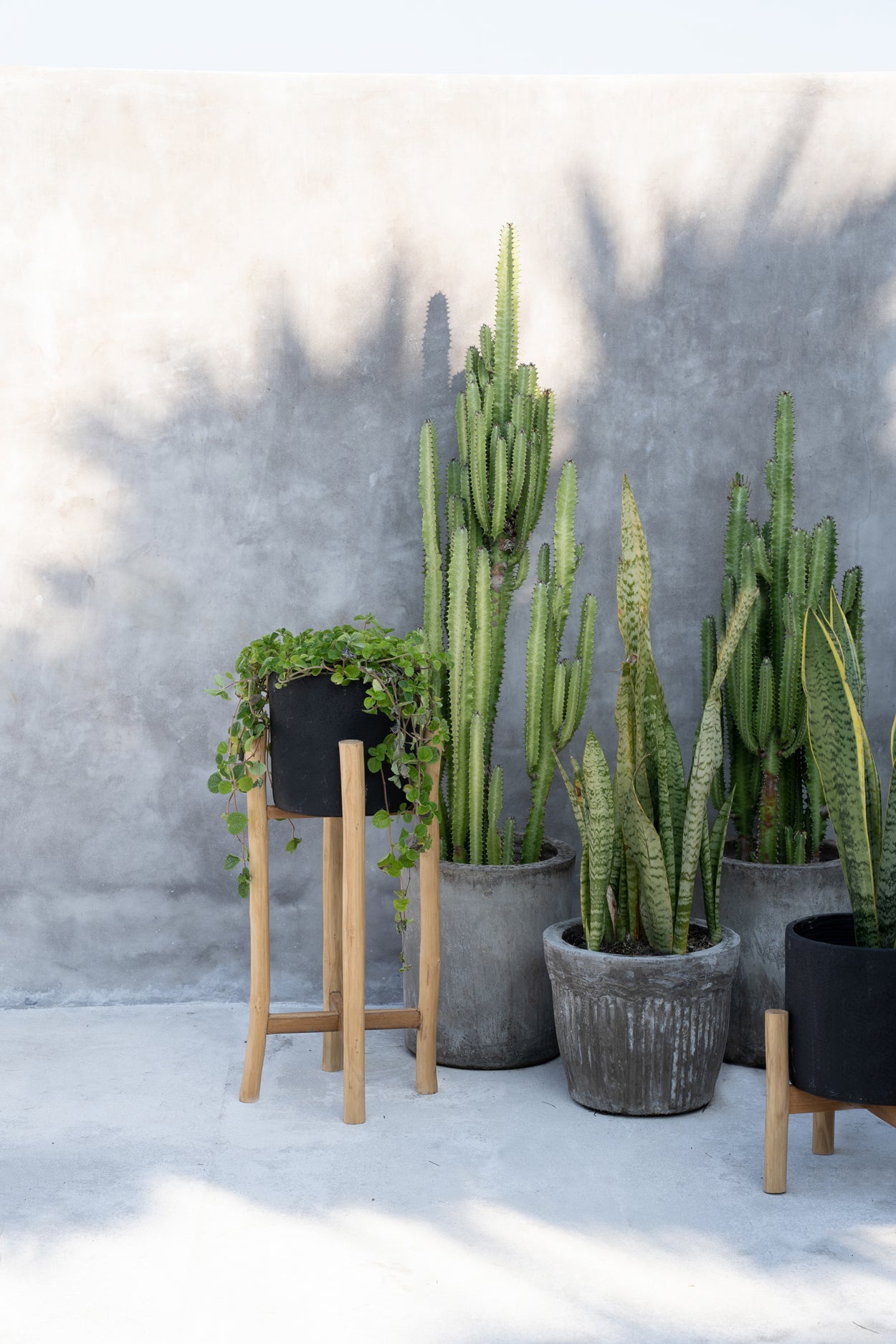 Bazar Bizar De Charcoal Hoge Plantenbak - Zwart Natural - L