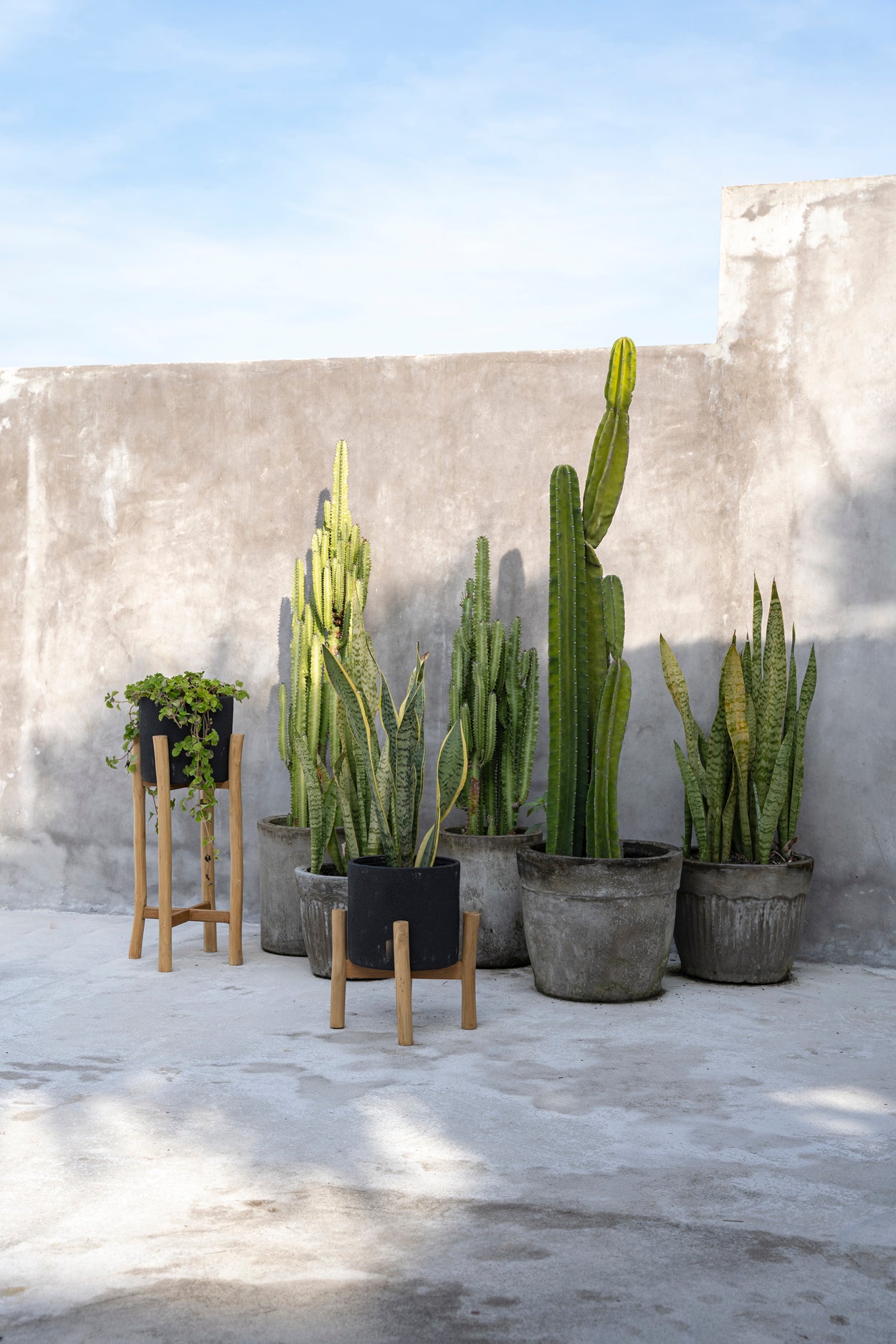 Bazar Bizar De Charcoal Hoge Plantenbak - Zwart Natural - L