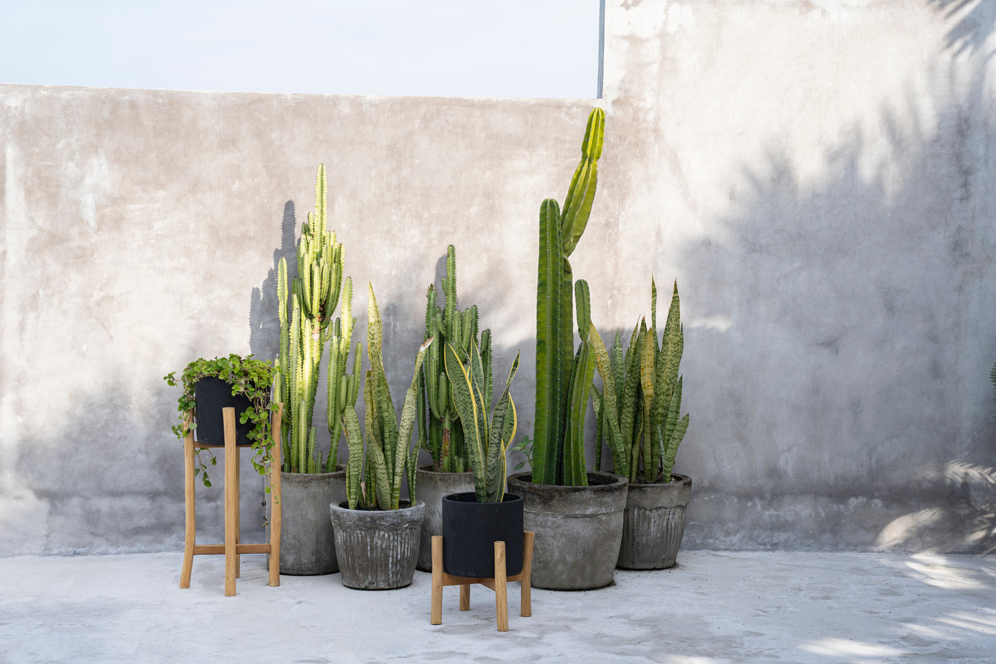 Bazar Bizar De Charcoal Hoge Plantenbak - Zwart Natural - L