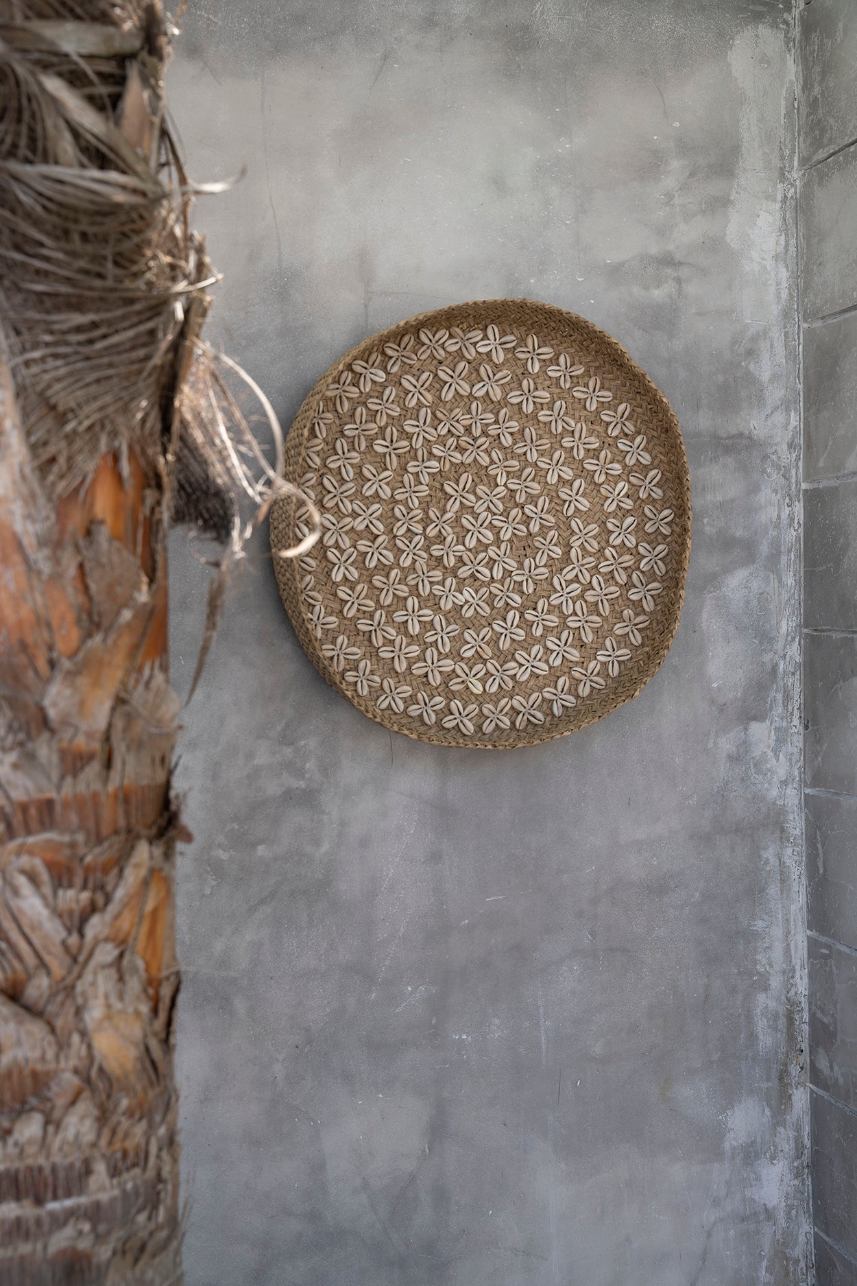 Bazar Bizar De Costa Shell Plaat - Naturel Wit - M