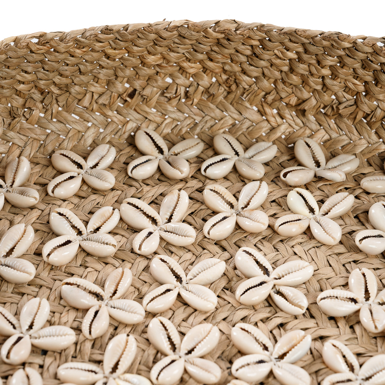 Bazar Bizar De Costa Shell Plaat - Naturel Wit - M