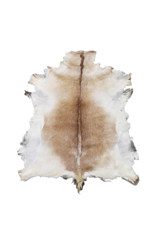 HSM Collection -Geitenhuid medium - assorti - ±90x60cm