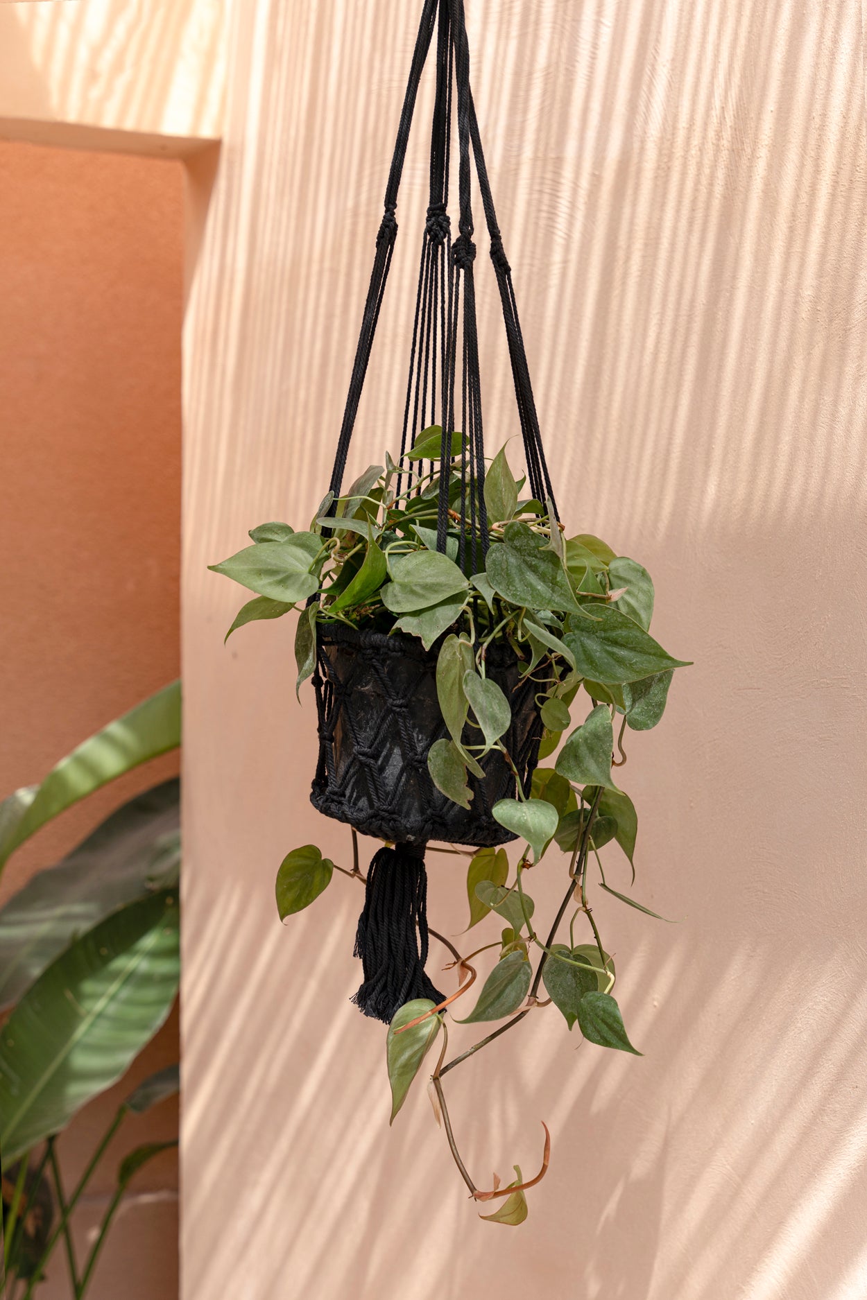 Bazar Bizar De Macrame Planthanger - Zwart - M