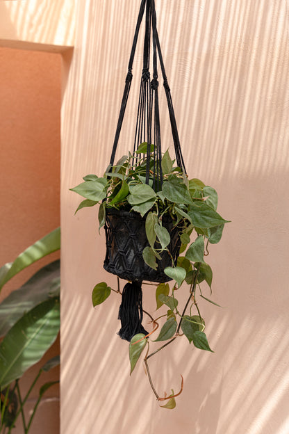 Bazar Bizar De Macrame Planthanger - Zwart - M