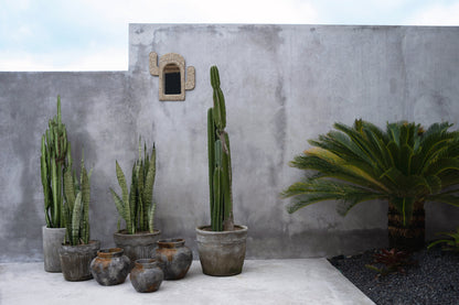 Bazar Bizar De Cactus Shell Spiegel - Wit