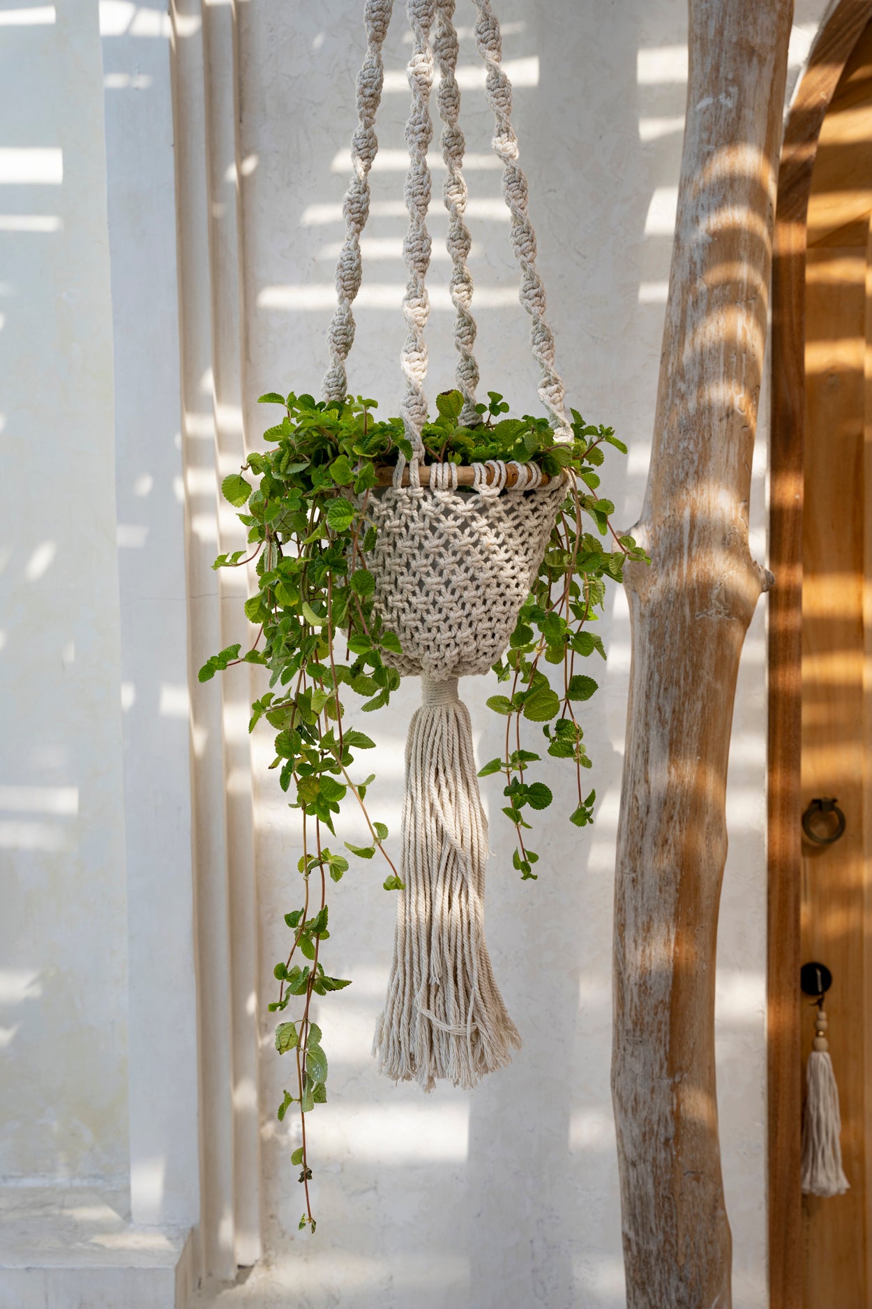 Bazar Bizar De Twisted Macrame Planthanger - Naturel Wit - M