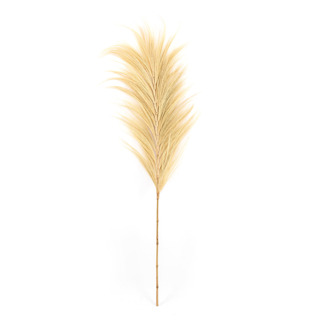 Bazar Bizar De Stunning Leaf - Naturel - Set van 6