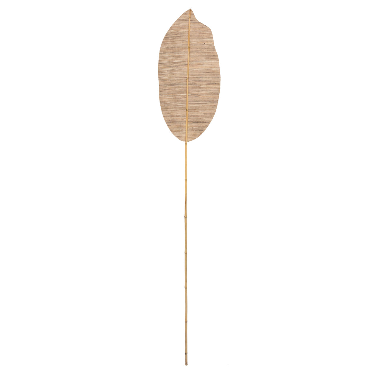 Bazar Bizar - De Ayung River Paddle - Set van 2