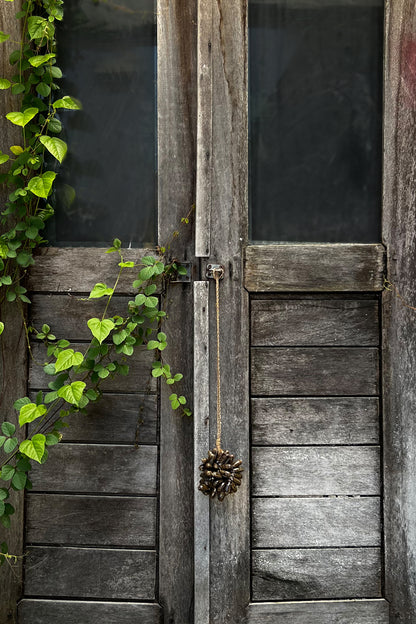 Bazar Bizar - De Brown Cowrie Shell Hangdecoratie