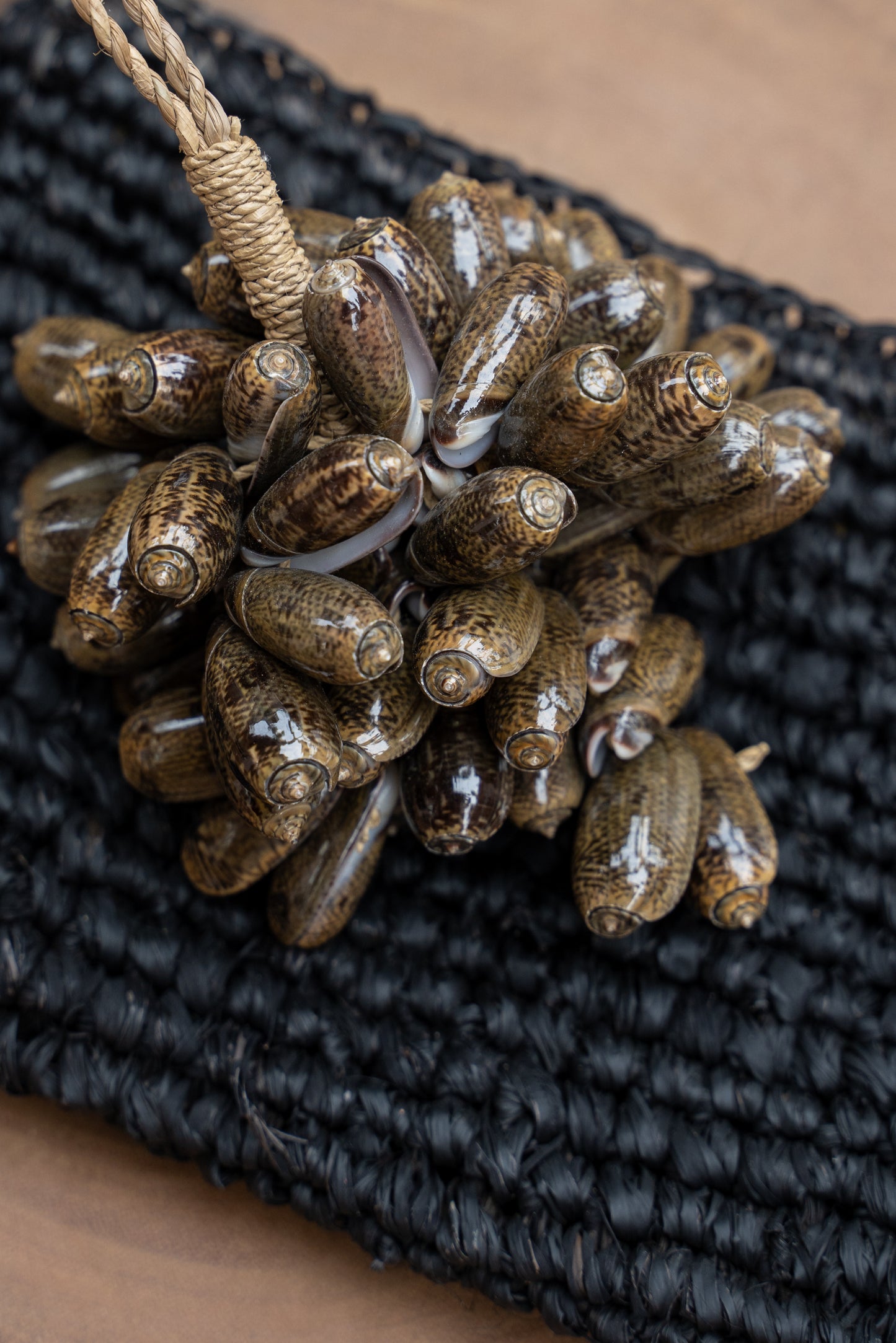 Bazar Bizar - De Brown Cowrie Shell Hangdecoratie