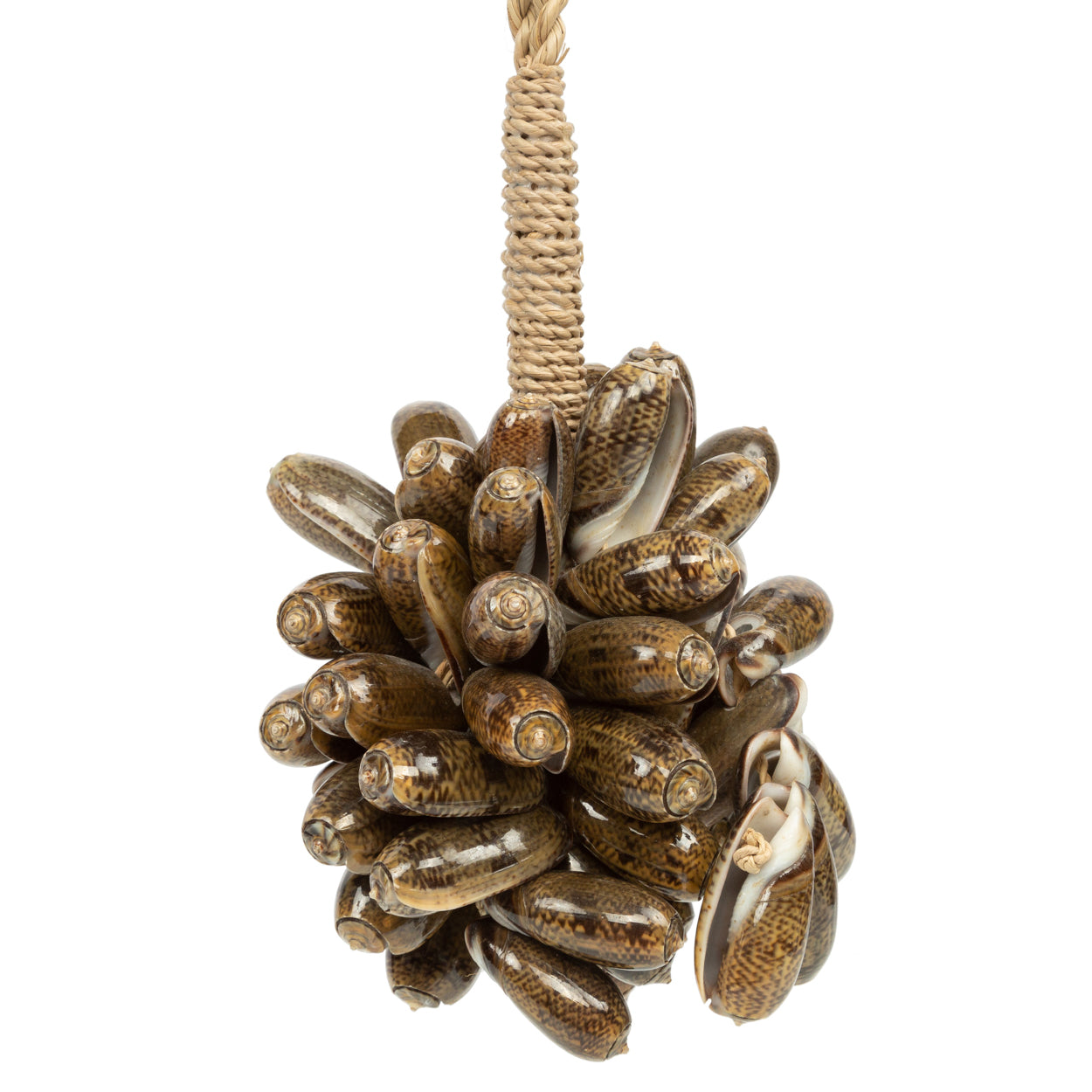 Bazar Bizar - De Brown Cowrie Shell Hangdecoratie