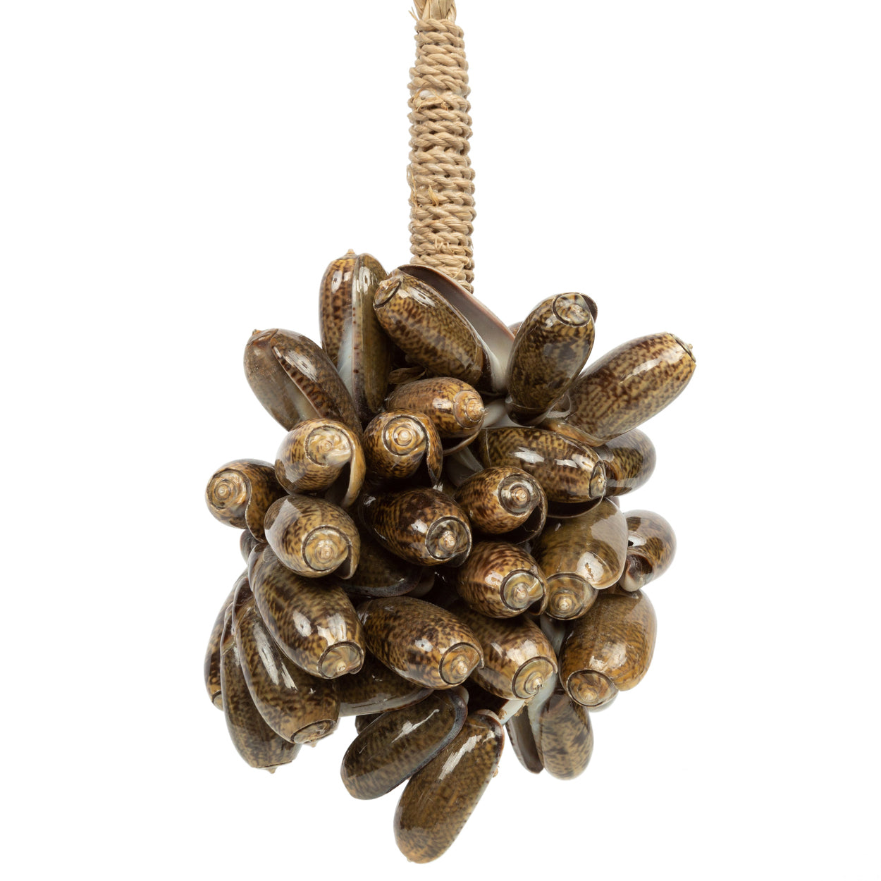 Bazar Bizar - De Brown Cowrie Shell Hangdecoratie