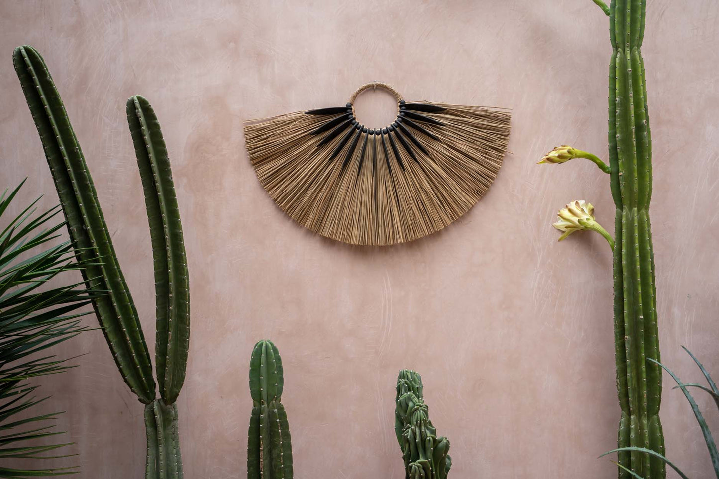 Bazar Bizar - De Alang Wood op Stand - Decoratie