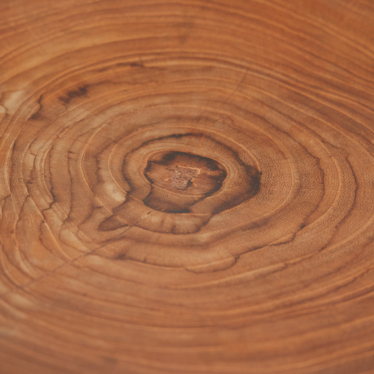 Bazar Bizar Het Teak Root Organic Bord