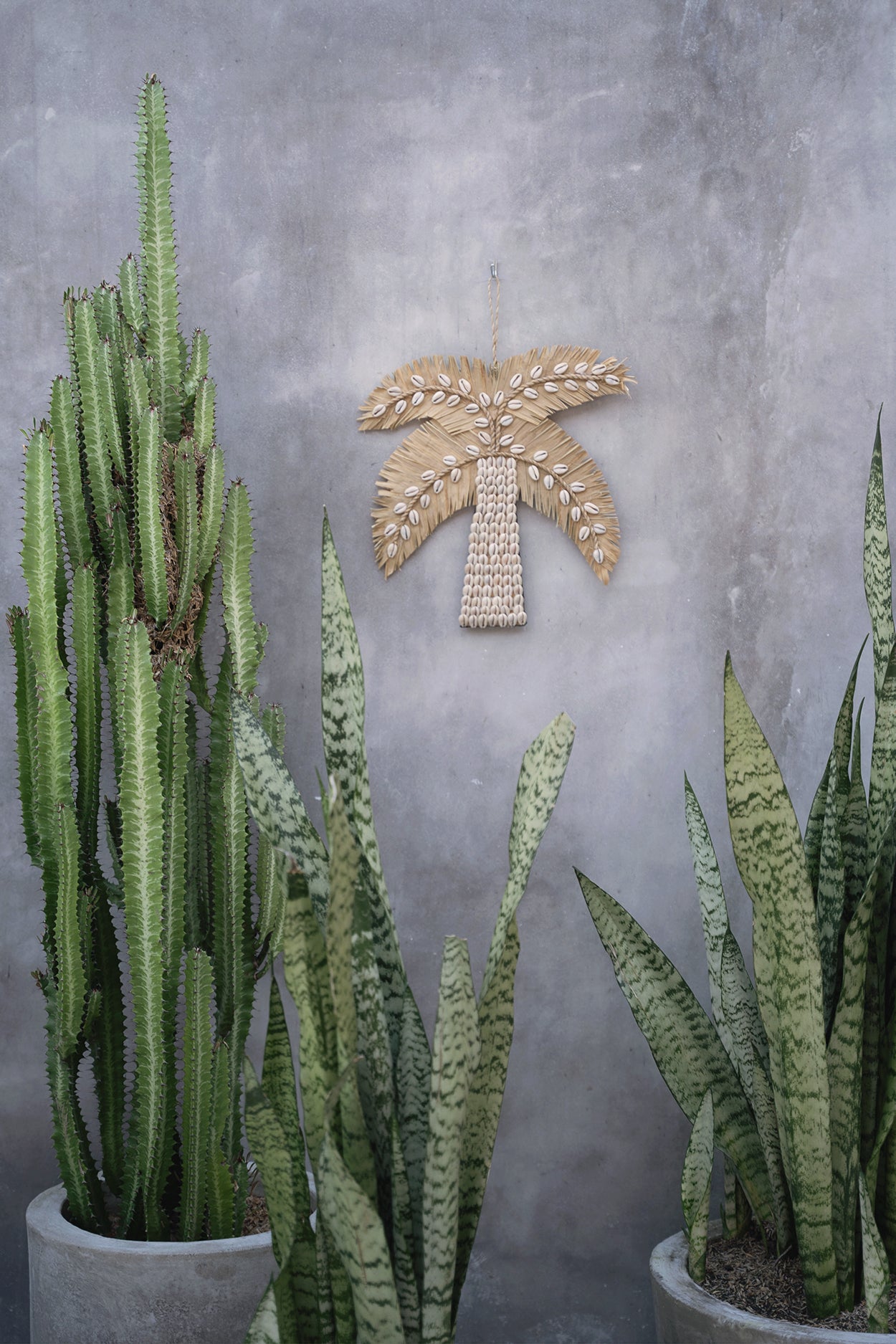 Bazar Bizar - De Banaan & Schelpen Palmboom - Naturel