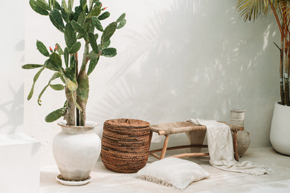 Bazar Bizar De S'il vous Plaid - Cr