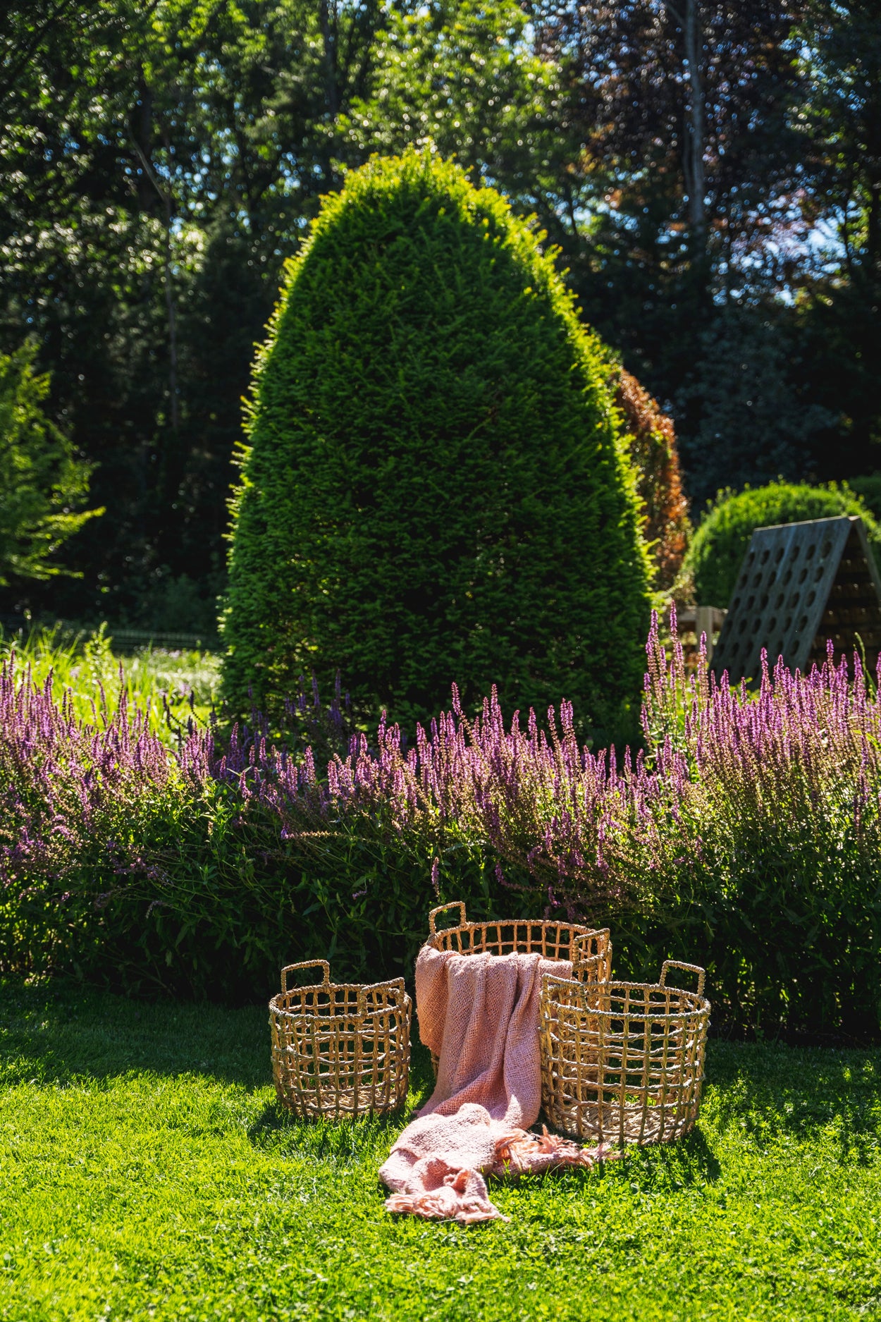 Bazar Bizar De S'il vous Plaid - Zalm Roze