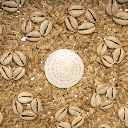 Bazar Bizar De Caribe Shell Plaat - Naturel Wit - M