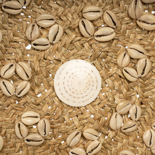 Bazar Bizar De Caribe Shell Plaat - Naturel Wit - M