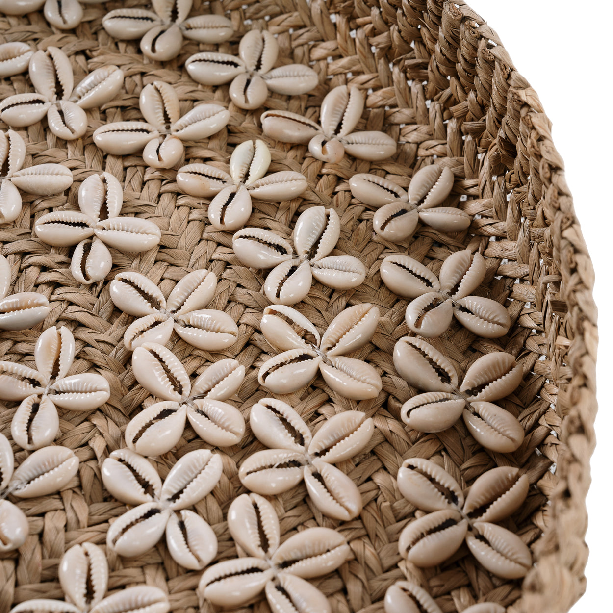 Bazar Bizar De Costa Shell Plaat - Naturel Wit - M