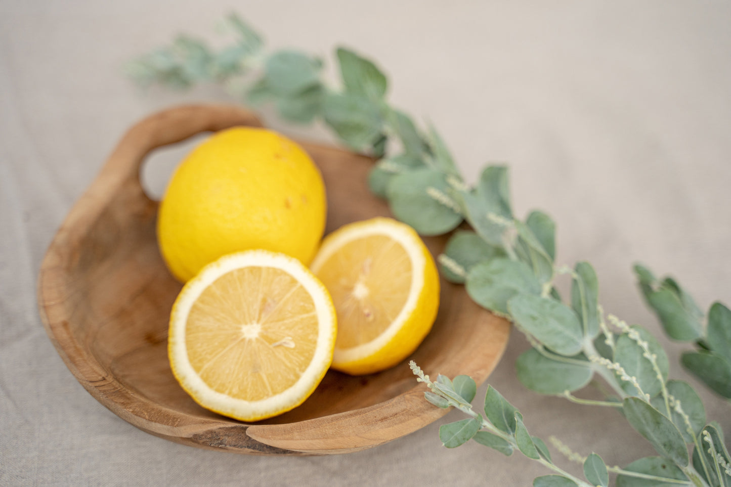 Bazar Bizar - De Bowl Schaal - Naturel