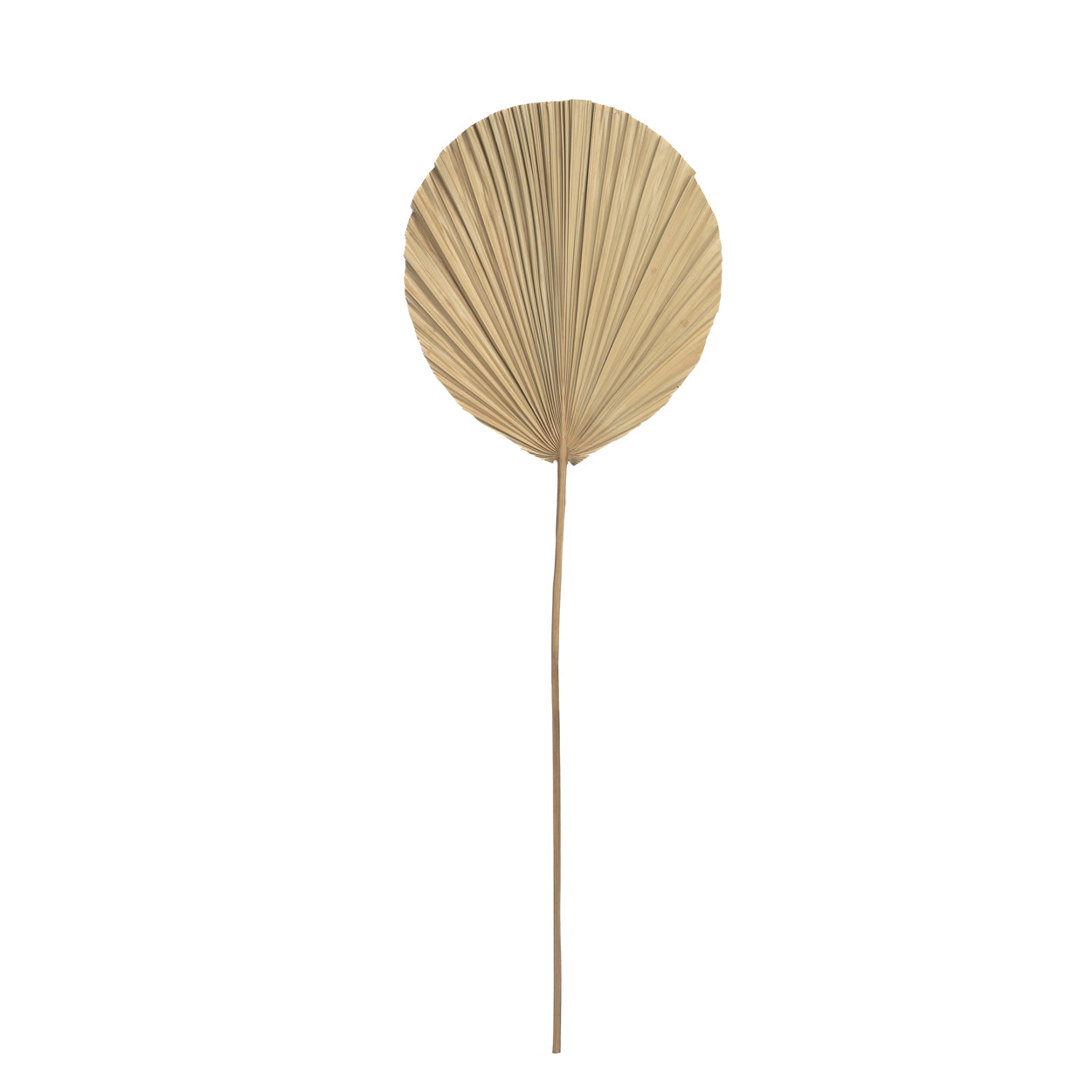 Bazar Bizar Het Rayung Blad - Naturel - Set van 4