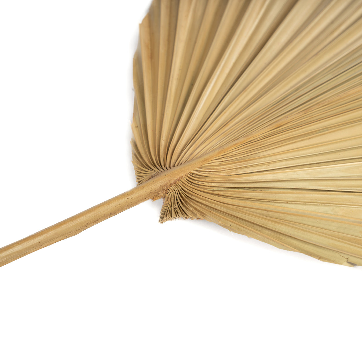 Bazar Bizar Het Rayung Blad - Naturel