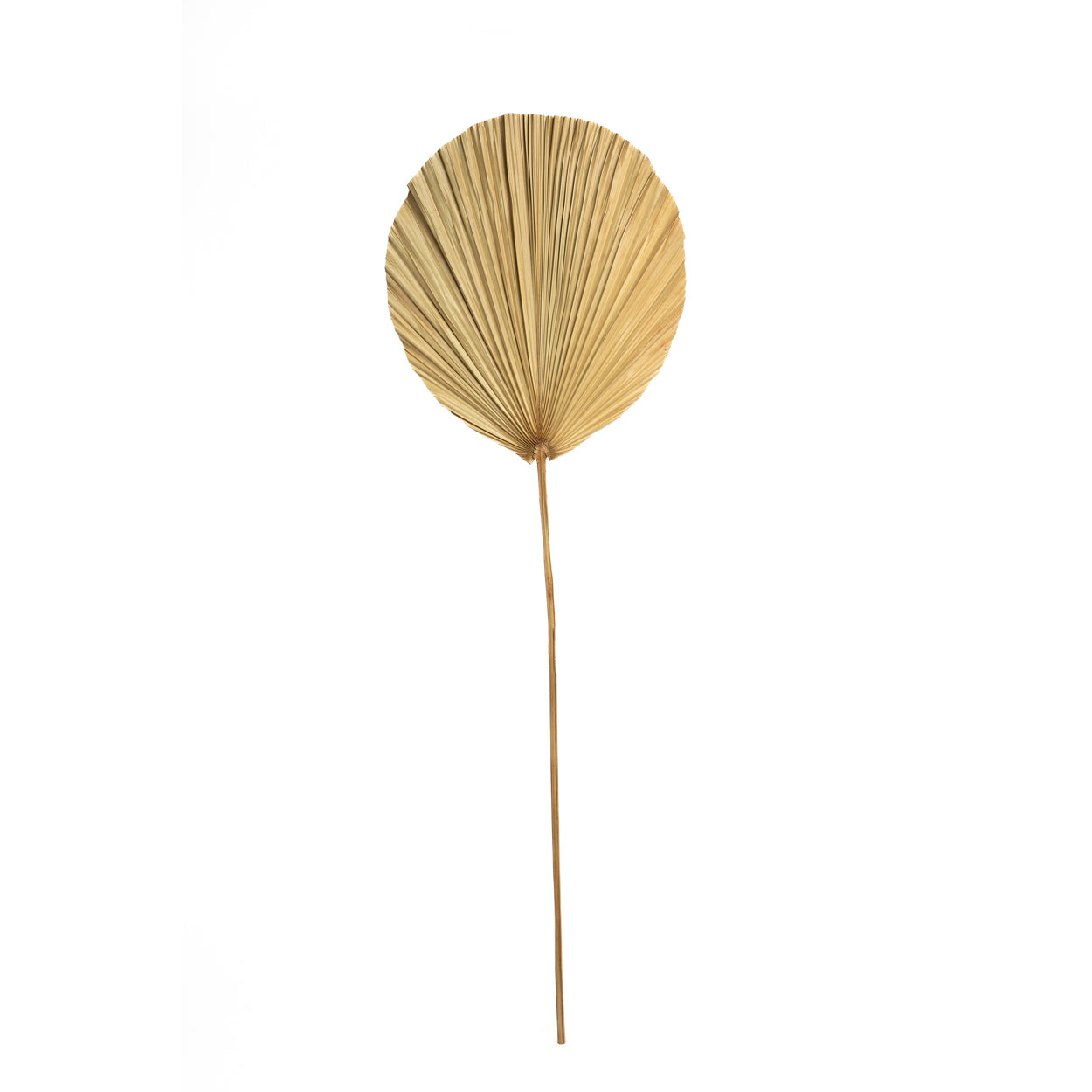 Bazar Bizar Het Rayung Blad - Naturel - Set van 4