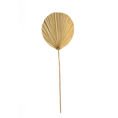 Bazar Bizar Het Rayung Blad - Naturel - Set van 4