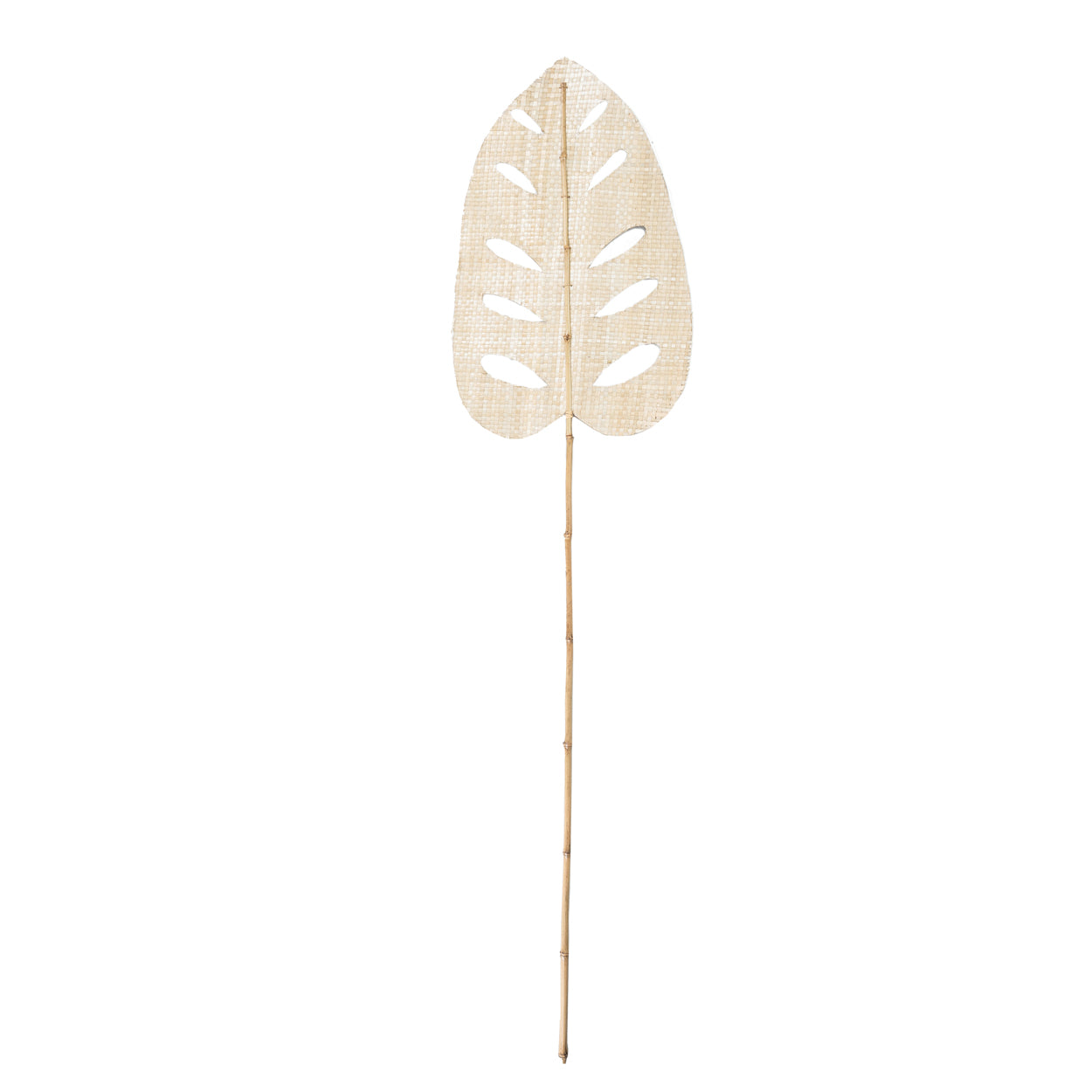 Bazar Bizar De Water Hyacinth Leaf - Naturel - Set van 4