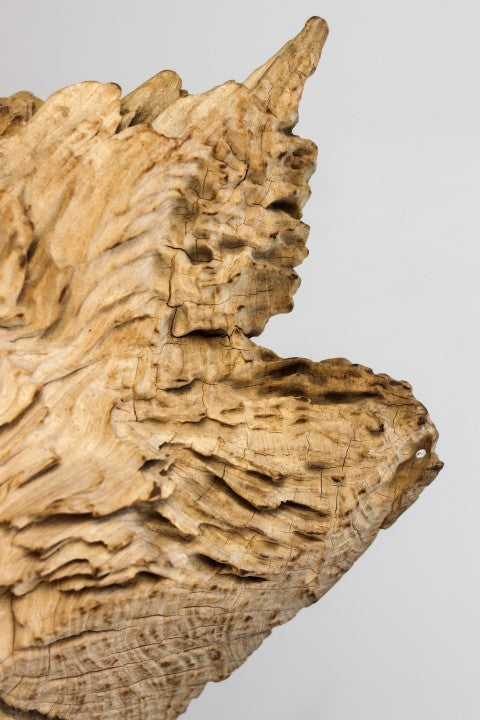 HSM Collection-Sculptuur erosihout -45x15x55-Naturel/Zwart-Teak