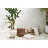 De Porto Seagrass Bank - L