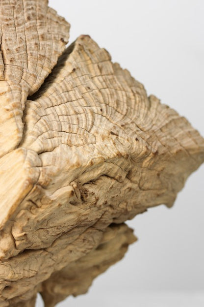HSM Collection-Sculptuur erosihout -45x15x55-Naturel/Zwart-Teak